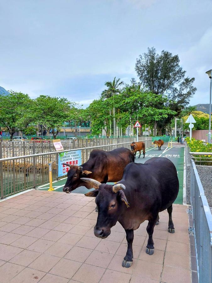 Silvermine Beach Resort Hongkong Buitenkant foto