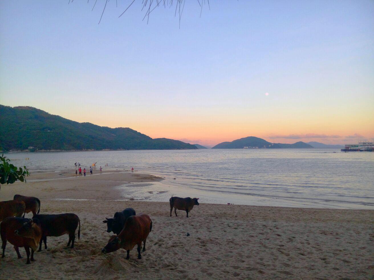 Silvermine Beach Resort Hongkong Buitenkant foto